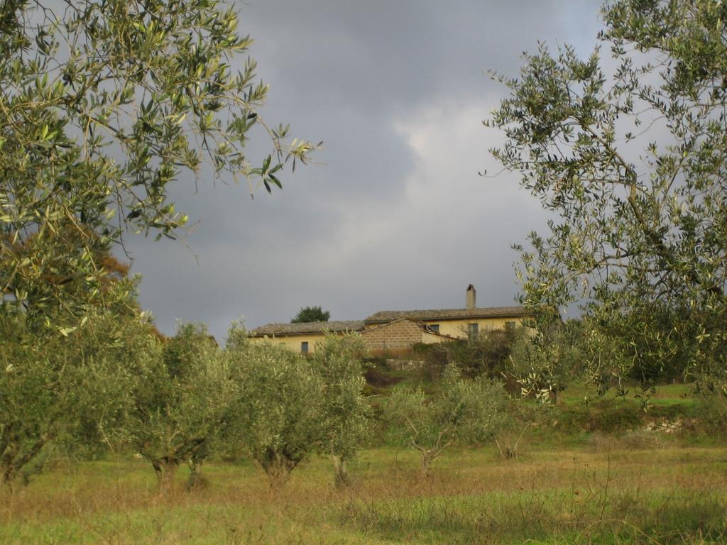 Agriturismo Le Roghete Acquapendente Eksteriør billede