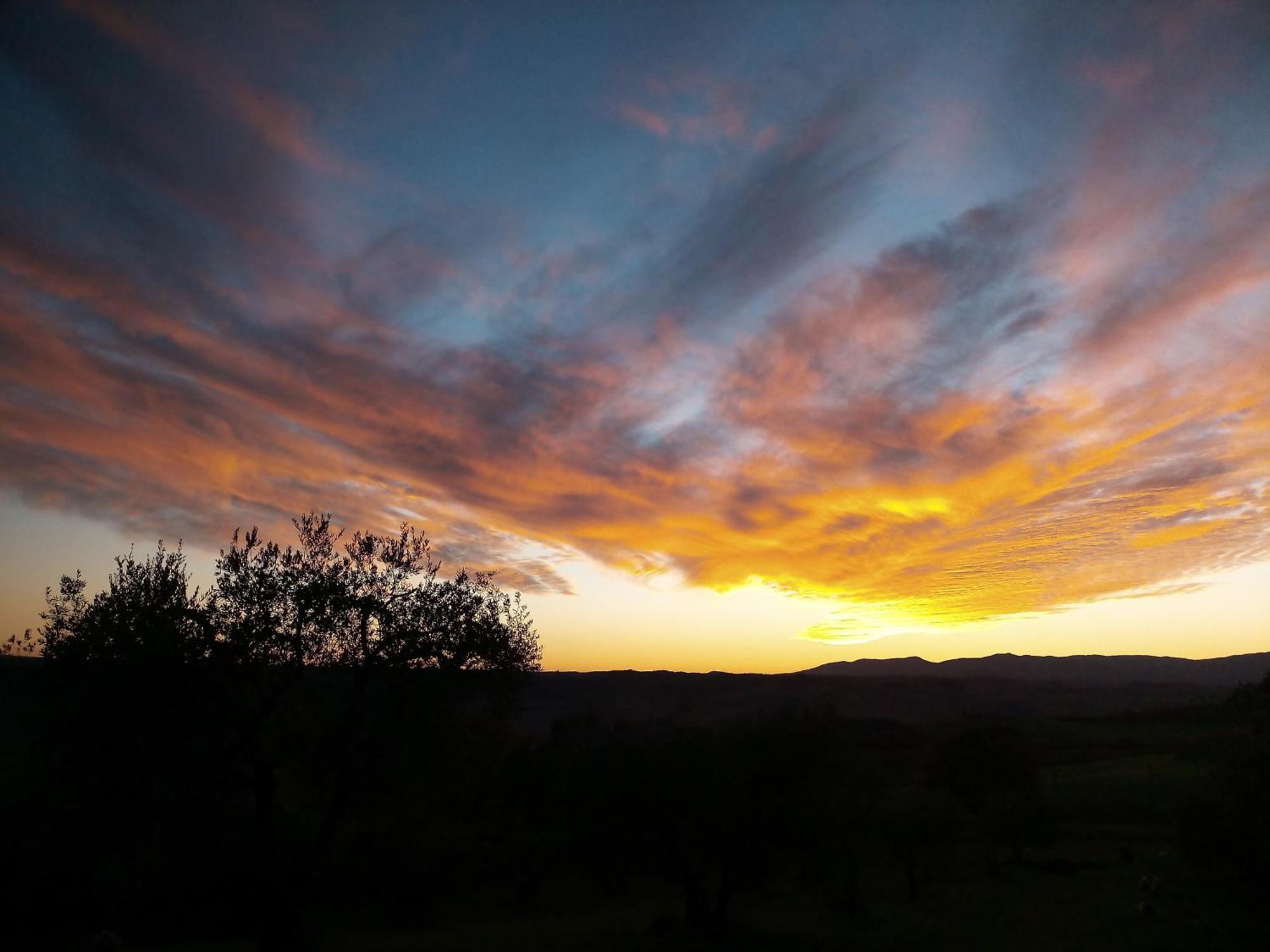 Agriturismo Le Roghete Acquapendente Eksteriør billede
