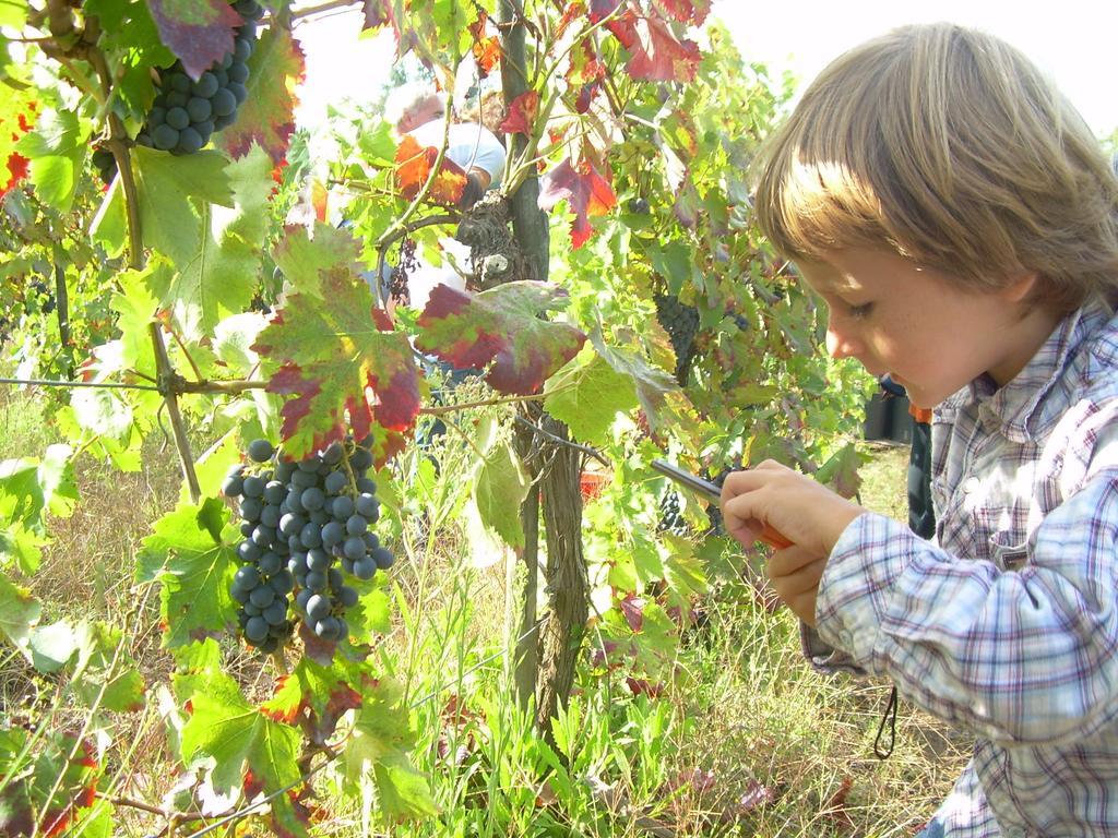 Agriturismo Le Roghete Acquapendente Eksteriør billede