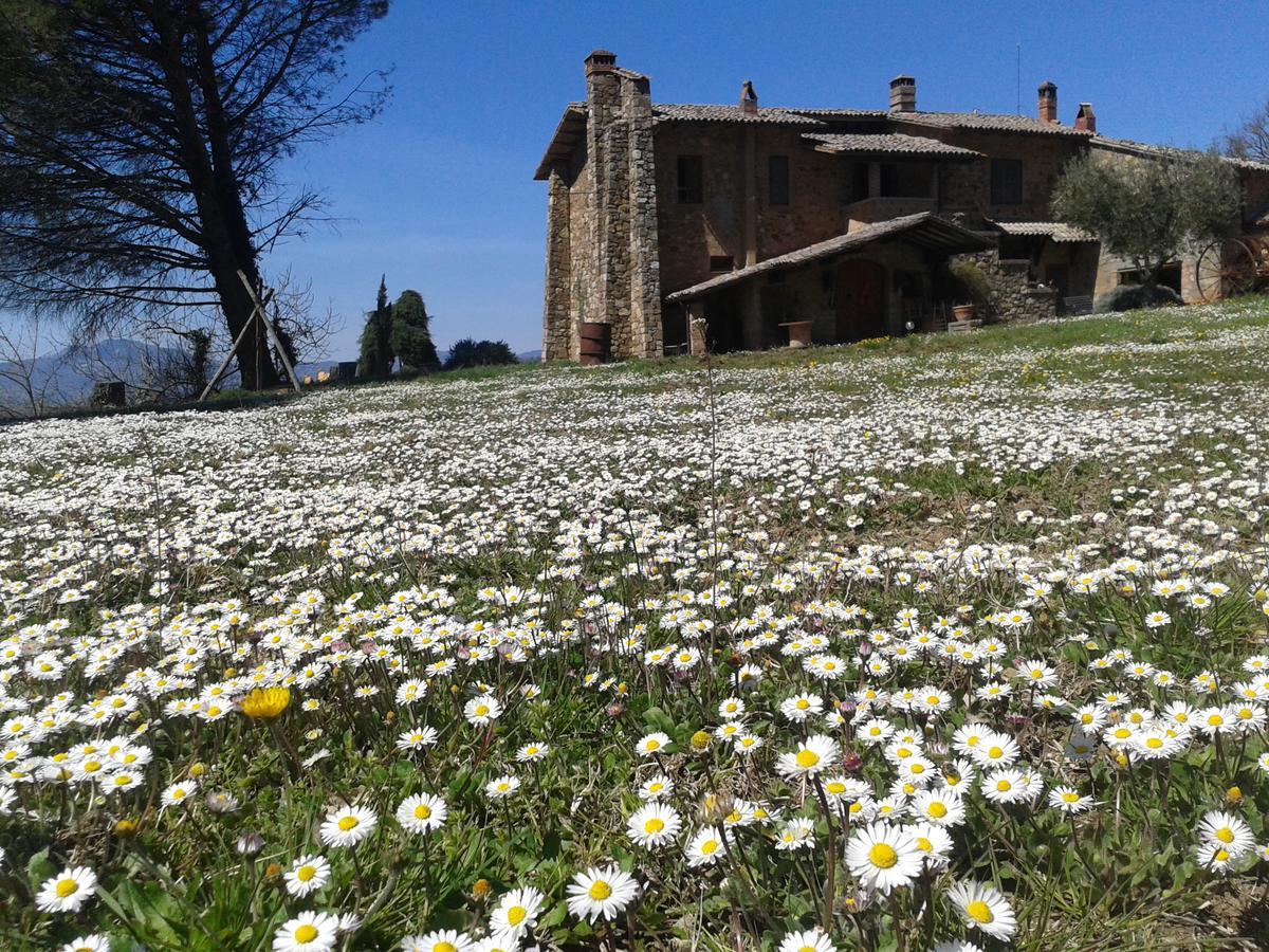 Agriturismo Le Roghete Acquapendente Eksteriør billede