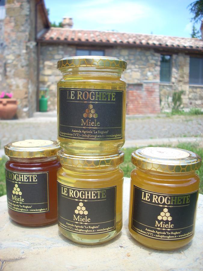 Agriturismo Le Roghete Acquapendente Eksteriør billede