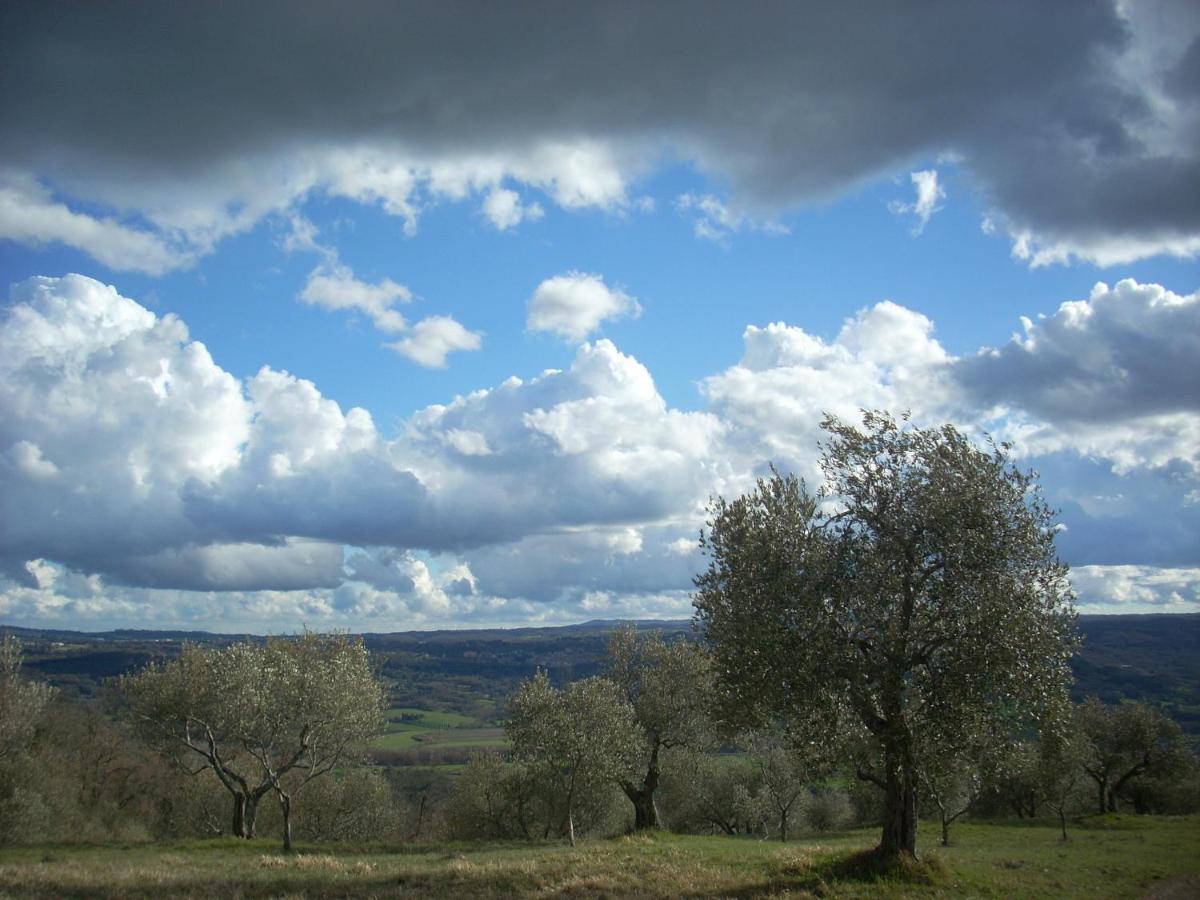 Agriturismo Le Roghete Acquapendente Eksteriør billede